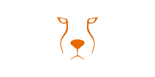 Acinonyx Web Agency &middot; LOGO