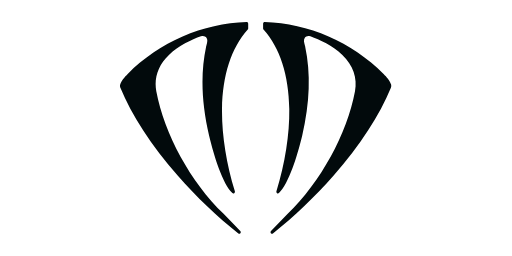 Dnsty &middot; LOGO