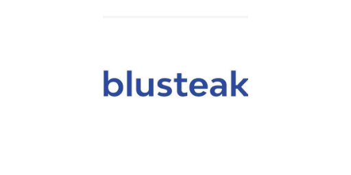 Blusteak &middot; LOGO