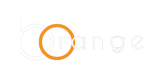 Blue Orange UK &middot; LOGO