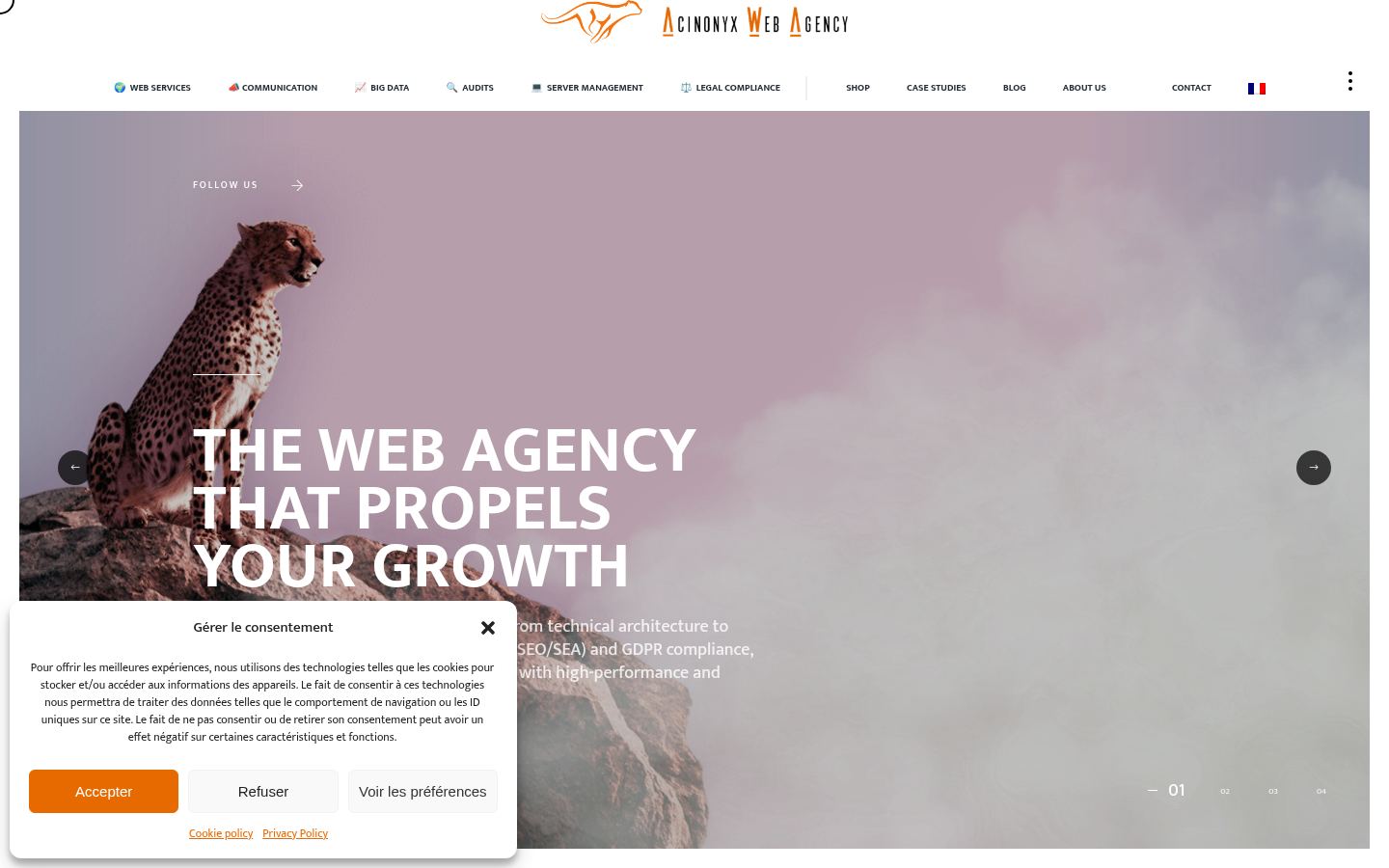 Acinonyx Web Agency &middot; HOMEPAGE_SCREENSHOT
