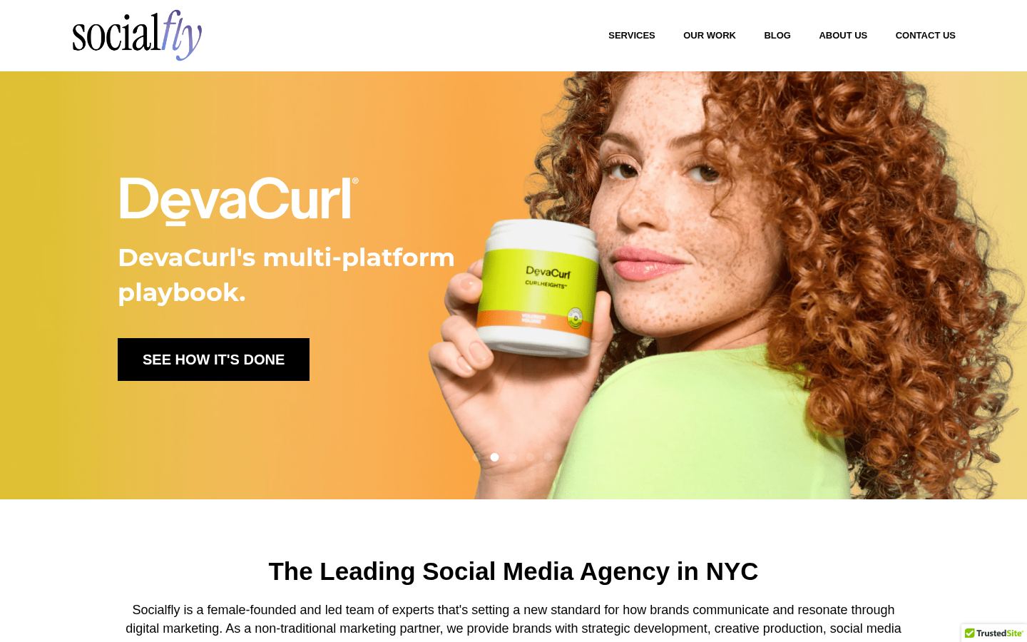 Socialfly NY &middot; HOMEPAGE_SCREENSHOT